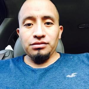 Meet your Posher, Tigre